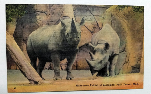 Rhinoceros Exhibit In Zoological Park Detroit Michigan Linen Postcard 1940's - TulipStuff