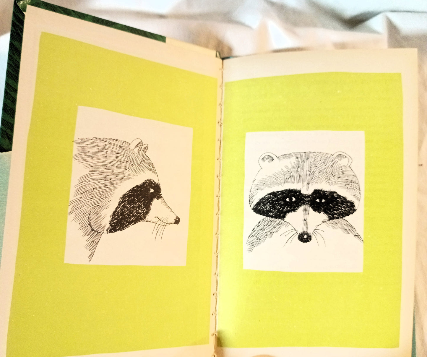 Robber Raccoon Easy Reader Wonder Books Thomas Lawrence 1971 - TulipStuff