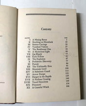 Load image into Gallery viewer, The Secret Of Lost Lake Dana Girls Mystery #24 Carolyn Keene 1963 - TulipStuff