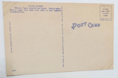 Siberian Tigers In Zoological Park Detroit Michigan Linen Postcard 1940's - TulipStuff