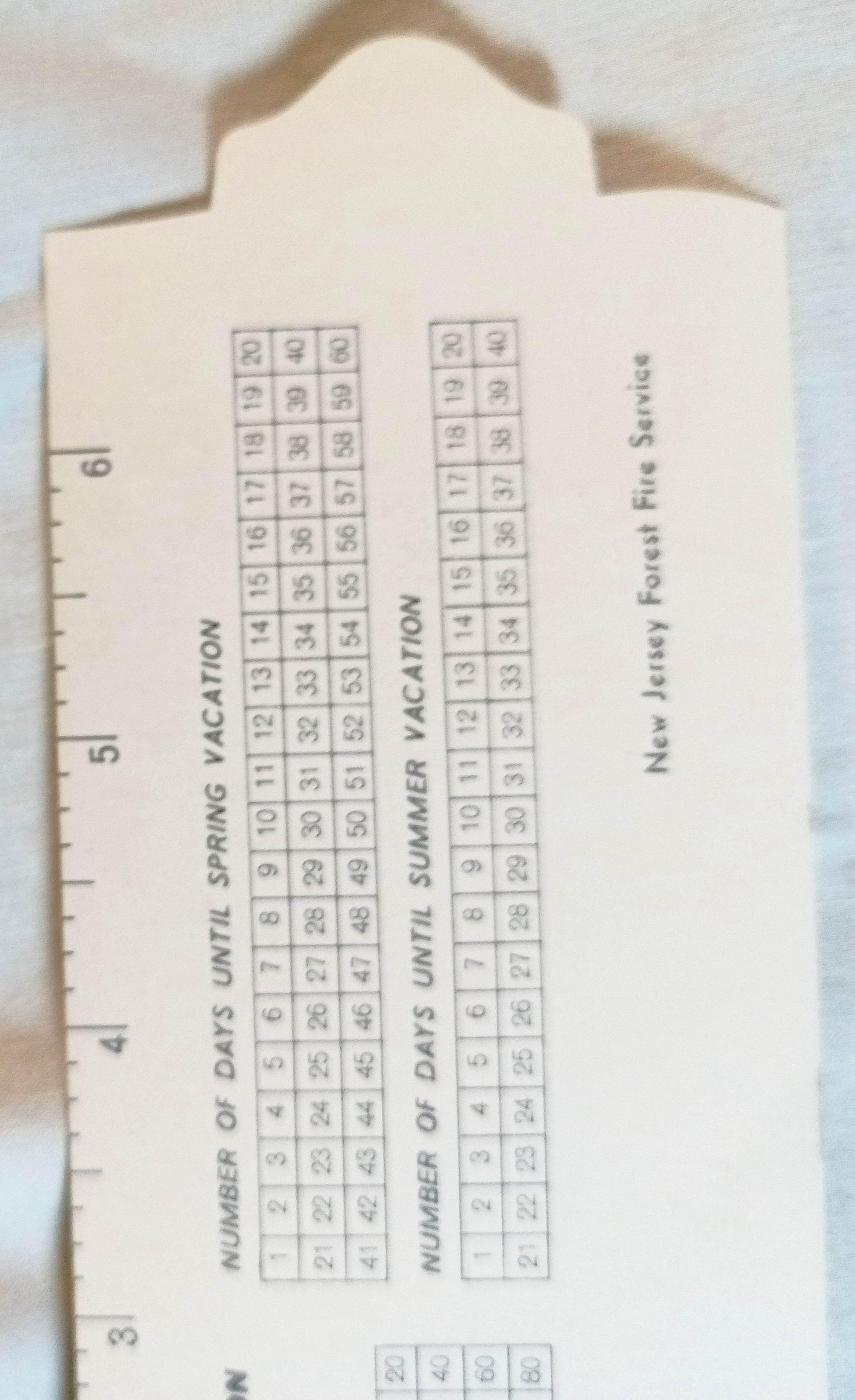 Smokey The Bear Cubs Prevent Forest Fires Bookmark Ruler 1964 - TulipStuff