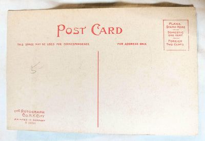 Black Americana A Southern Express Man And Oxen Cart Rotograph 1908 - TulipStuff