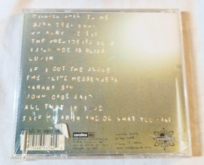 Spasm Smear Industrial Noise Album CD Invisible 1997 - TulipStuff