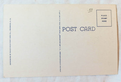 Spearfish Canyon Black Hills South Dakota Linen Postcard 1940's - TulipStuff