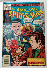 Load image into Gallery viewer, The Amazing Spiderman 169 Marvel Comics June 1977 Confrontation - TulipStuff