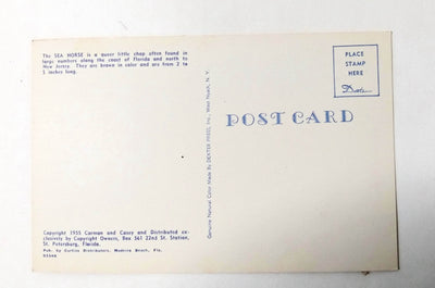 The Tale Of The Sea Horse Carmen and Casey Postcard 1955 - TulipStuff