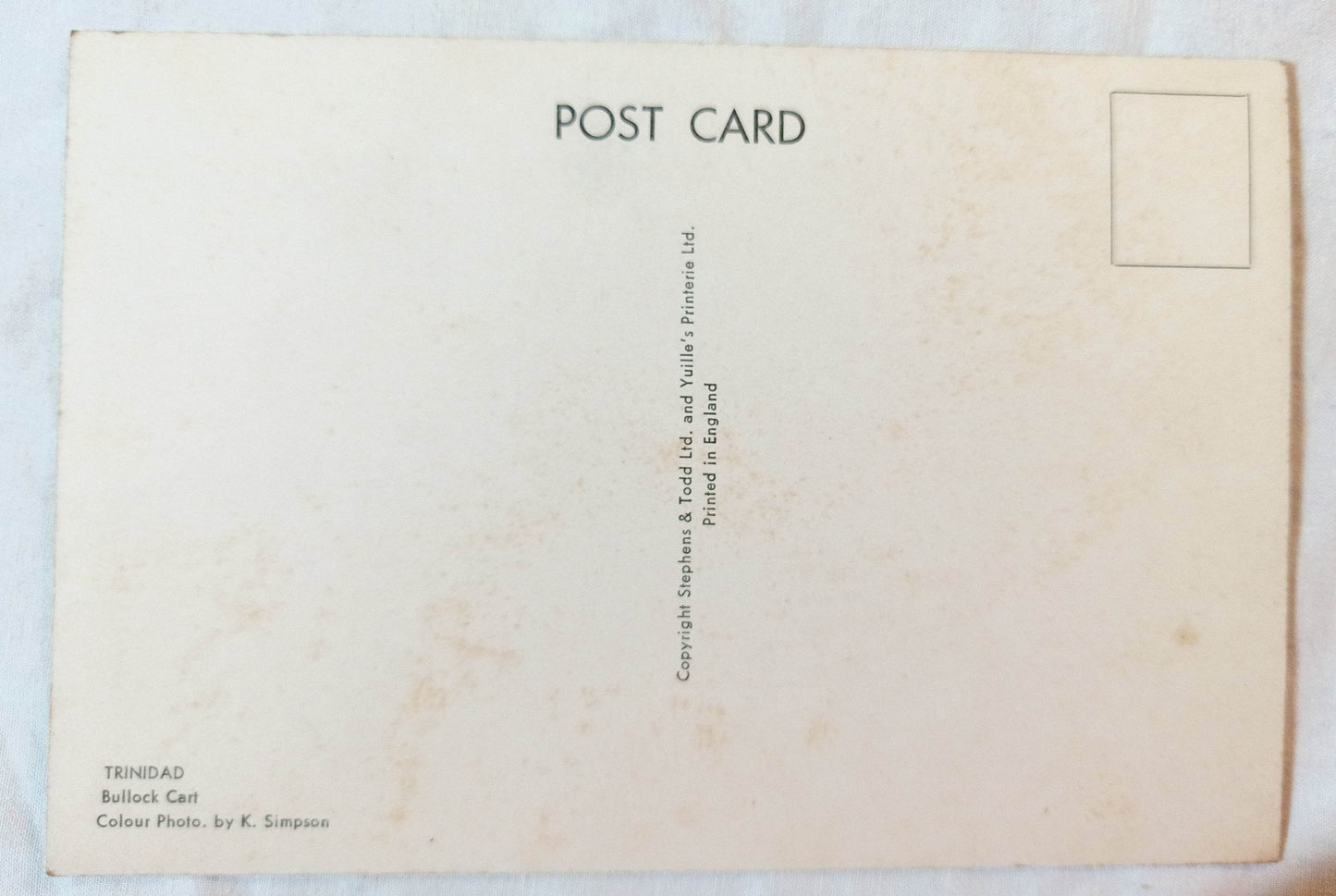 Trinidad Bullock Cart Oxen Postcard Late 1950's - TulipStuff
