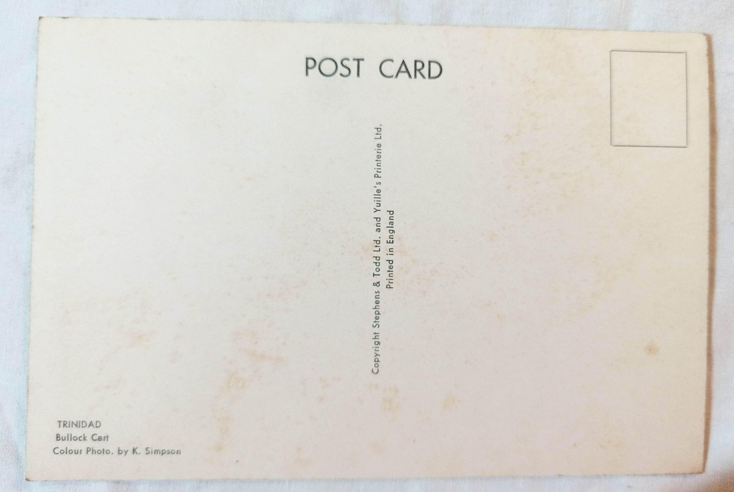 Trinidad Bullock Cart Oxen Postcard Late 1950's - TulipStuff