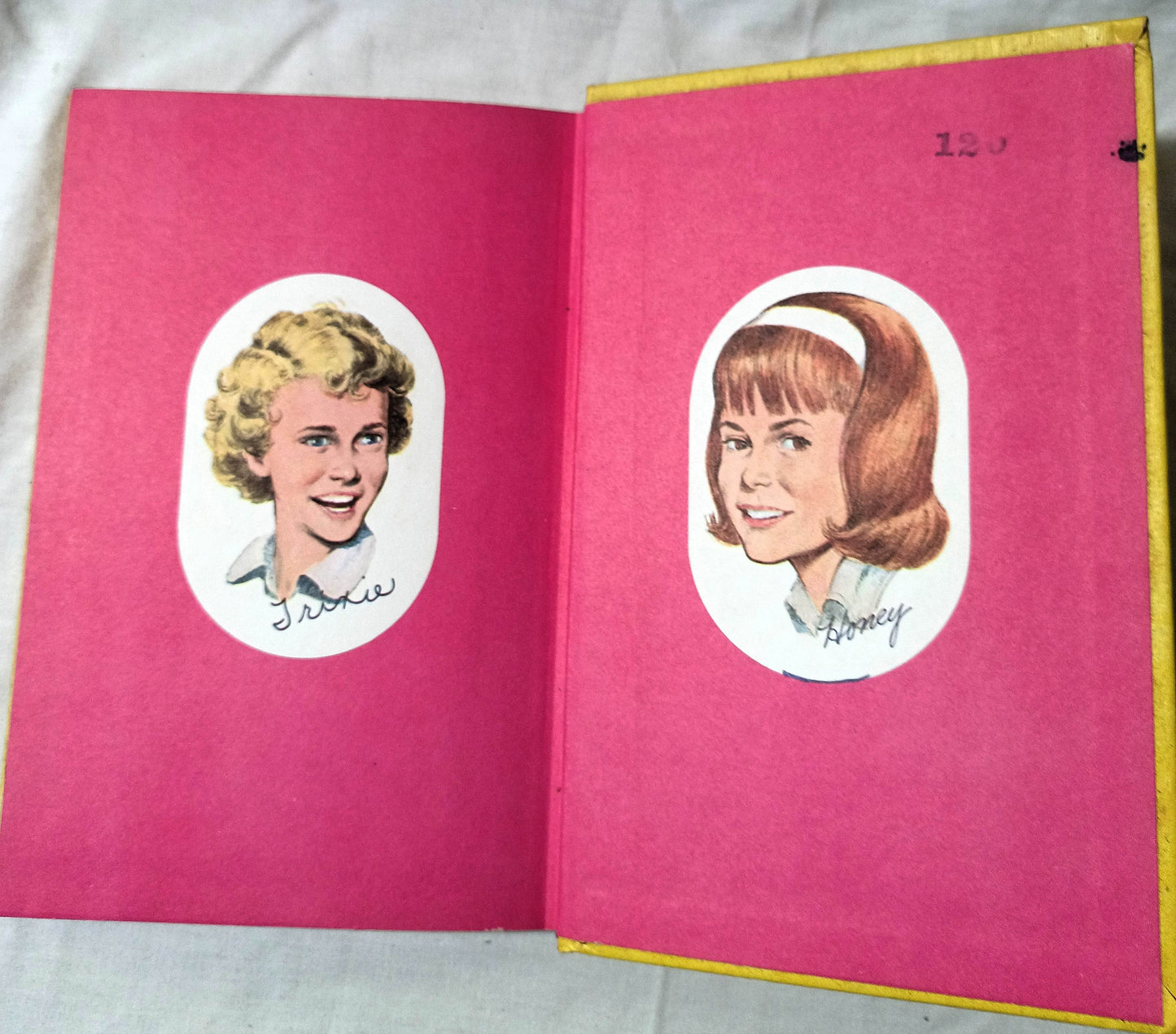 Trixie Belden And The Mystery On The Mississippi Kathryn Kenny 1966 - TulipStuff