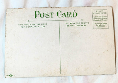 Virginia Reel Roller Coaster Luna Park Coney Island Brooklyn NY 1900's - TulipStuff