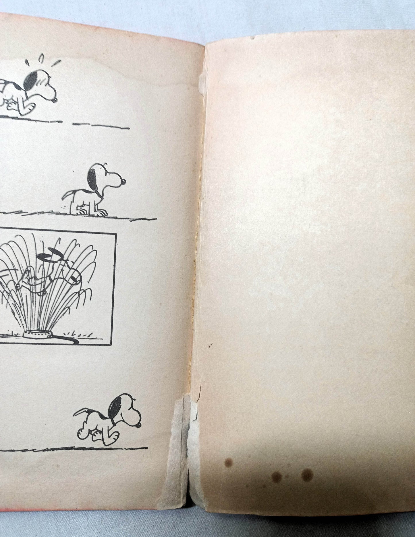 We Love You Snoopy Peanuts Charles M Schulz 1962 Printing Fawcett Crest - TulipStuff