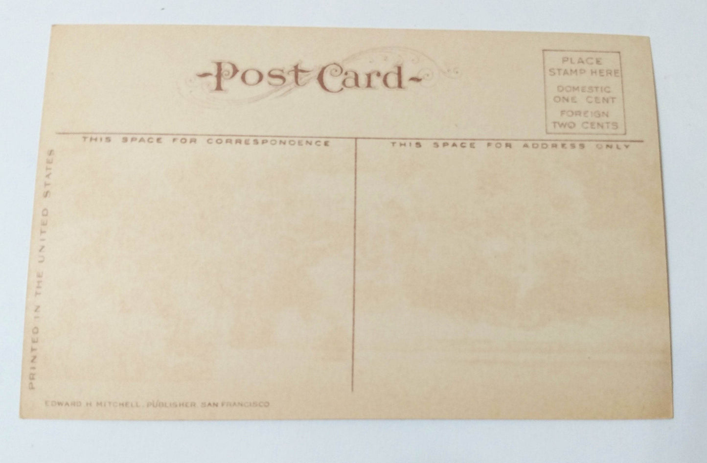 Wright's Park Tacoma Washington 1910's Postcard