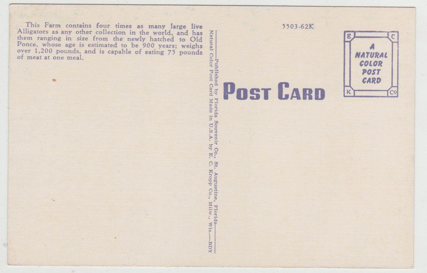 Alligator Farm St Augustine Florida 1940's Linen Postcard - TulipStuff