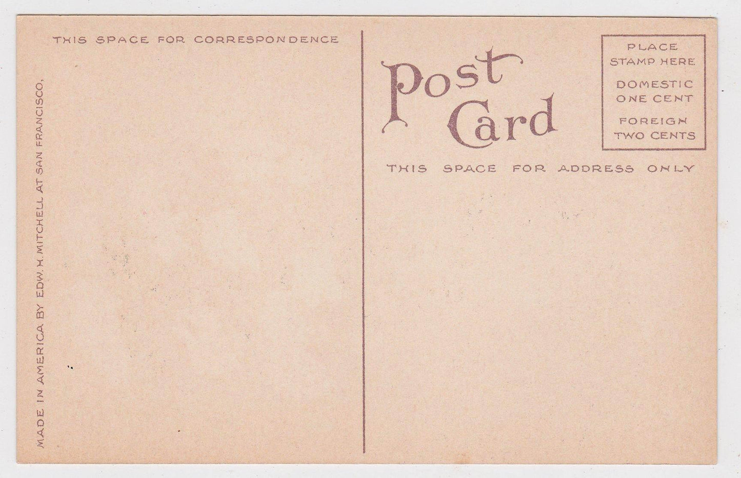 A Bunch of Roses Portland Oregon Flowers Antique Postcard 1910's - TulipStuff