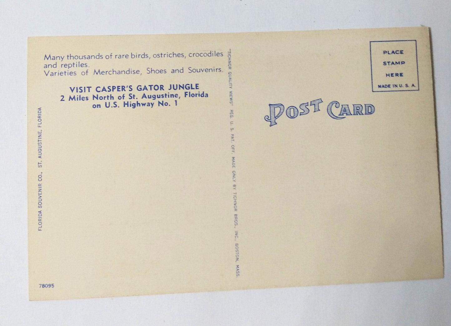 Dangerous Man Killing Alligator Casper's Gator Jungle St Augustine 1940's - TulipStuff