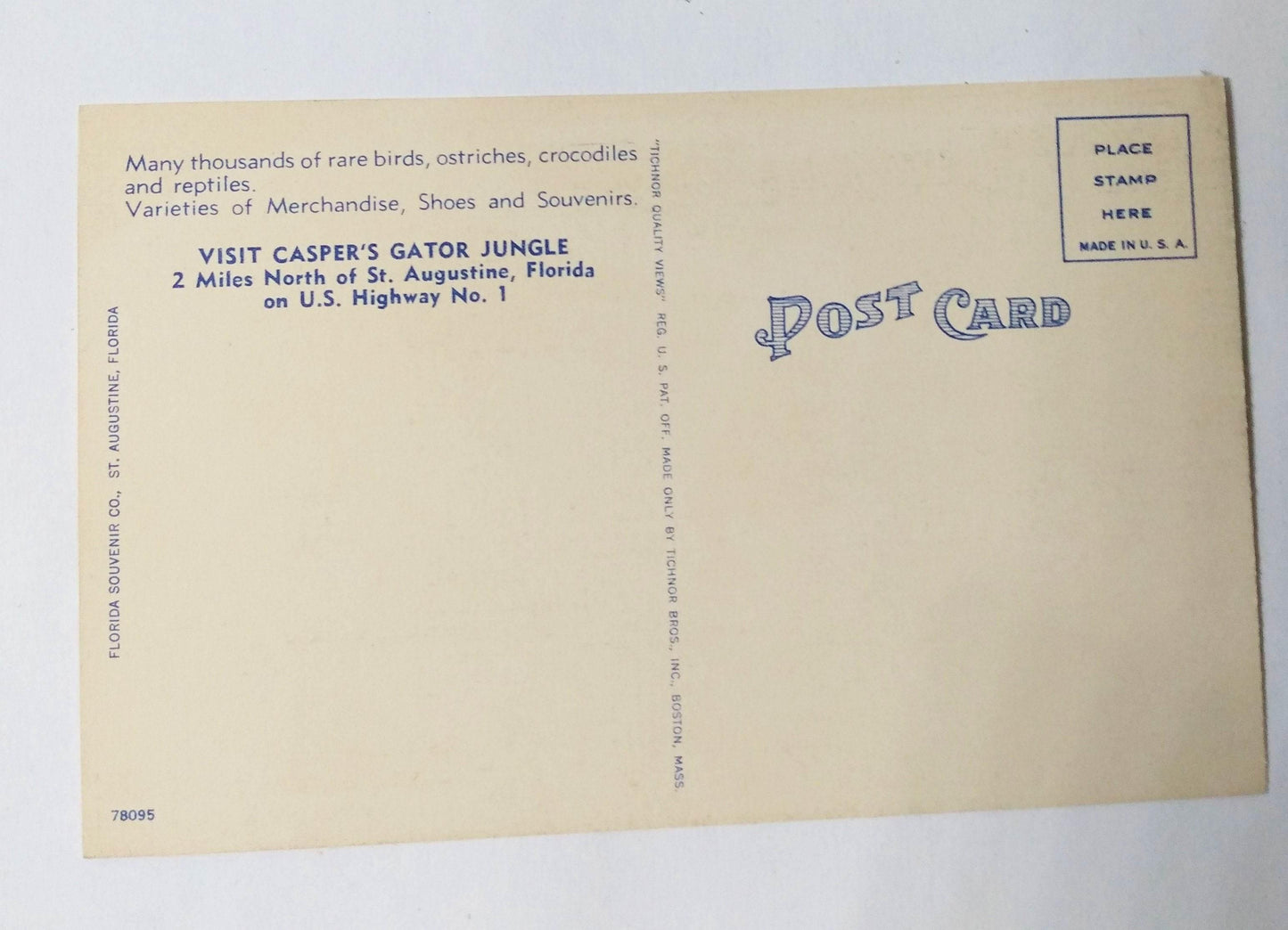 Dangerous Man Killing Alligator Casper's Gator Jungle St Augustine 1940's - TulipStuff