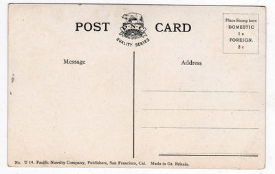 City and County Building Salt Lake City Utah 1909 Antique Postcard - TulipStuff