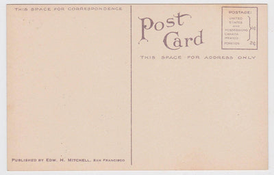 Cornfields Corn As It Grows In The Great Northwest Postcard 1910 - TulipStuff