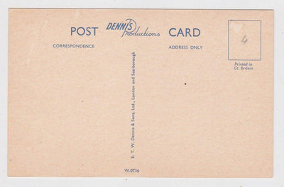 Darnholme Goathland Moors North Yorkshire England 1940's Postcard - TulipStuff