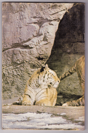 Detroit Zoo Guide Book Detroit Zoological Park Commission 1966 - TulipStuff