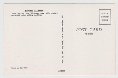 Dothan Albama Wiregrass Area Cotton Picking Machines 1960's - TulipStuff