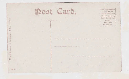 Early 1900's Flatiron Building Broadway New York City Postcard - TulipStuff