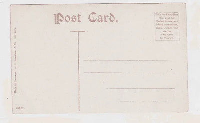 Early 1900's Flatiron Building Broadway New York City Postcard - TulipStuff