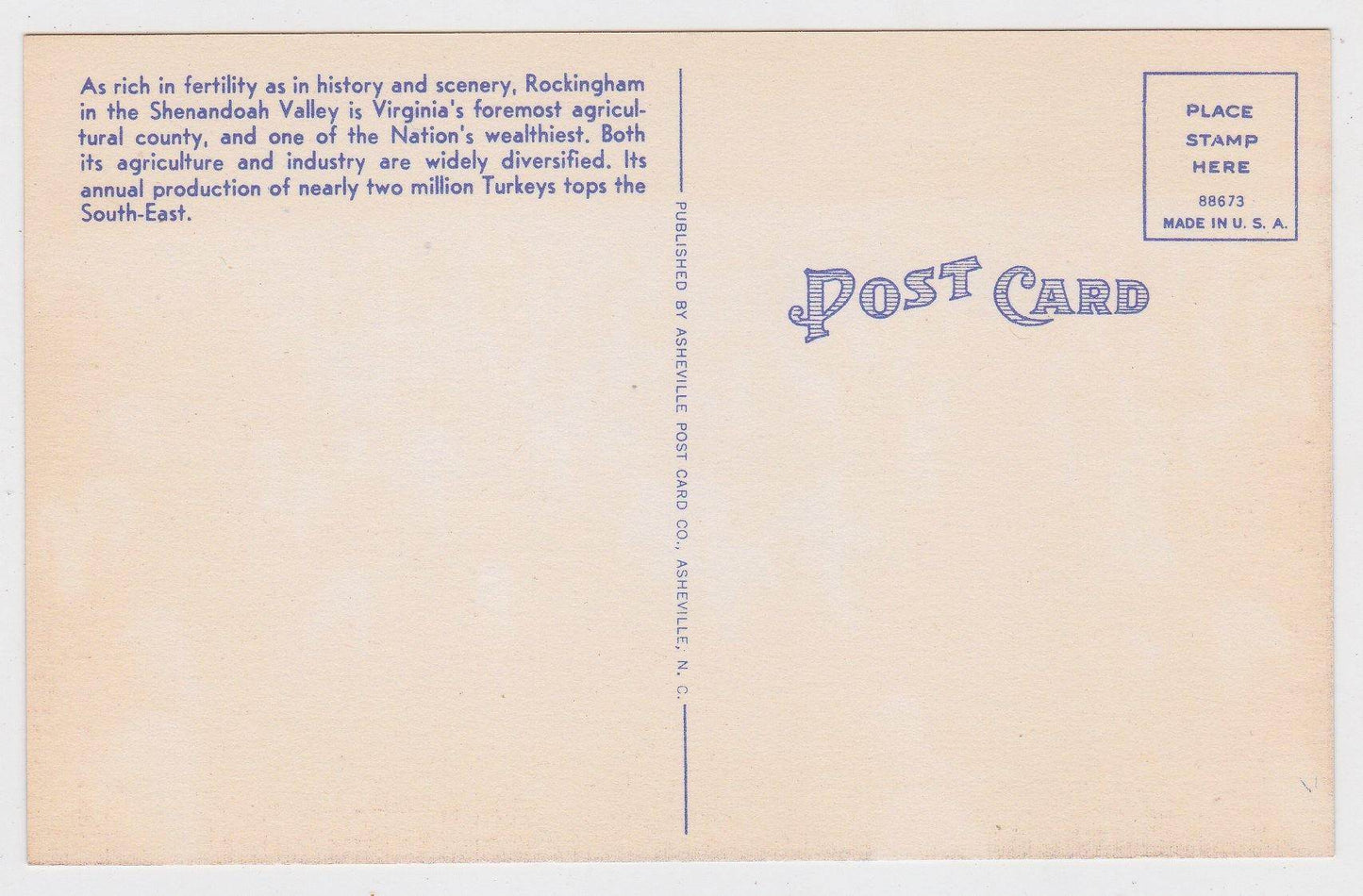 A Flock of Fine Turkeys In Rockingham County Virginia 1940's Postcard - TulipStuff