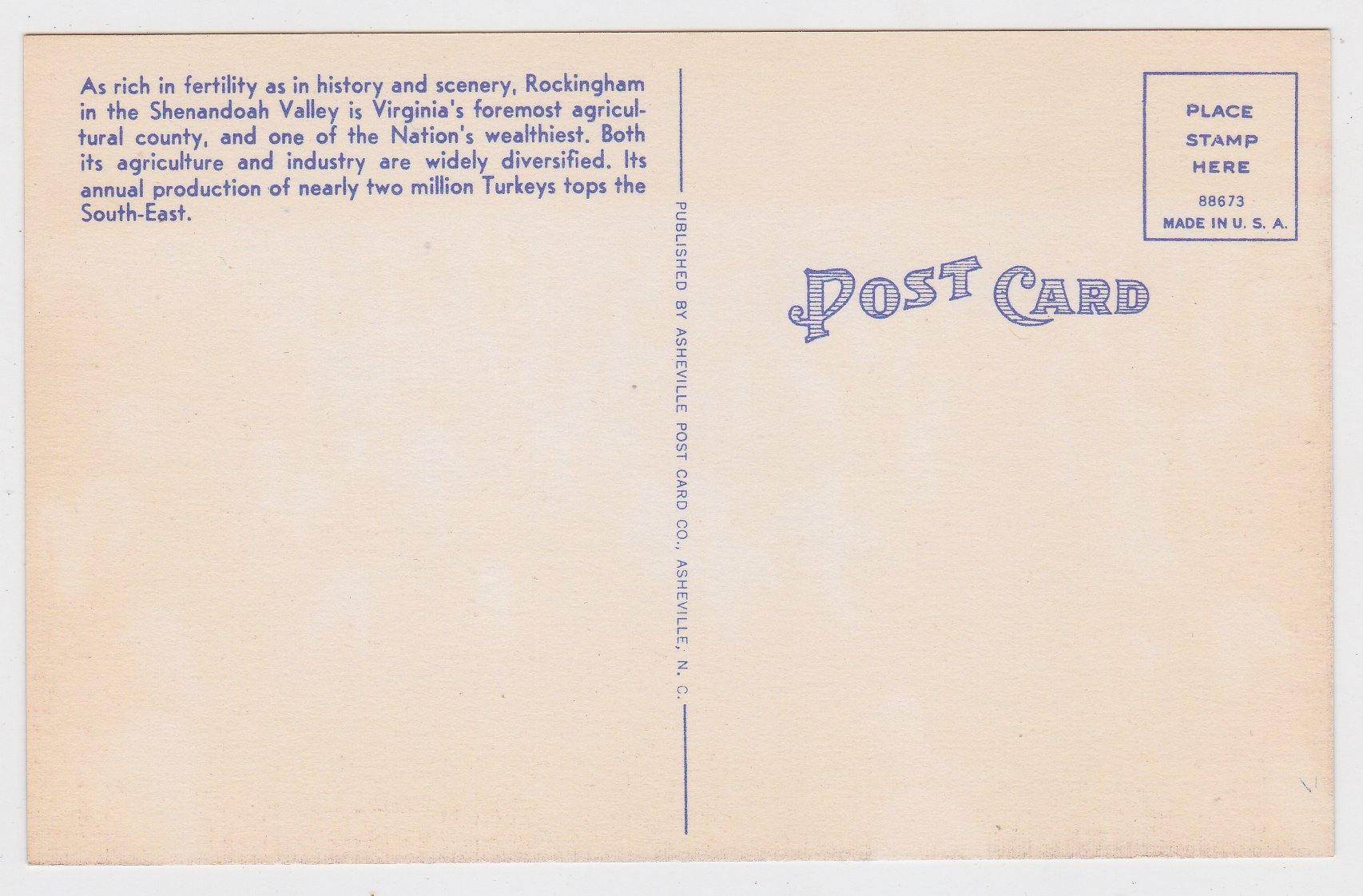 A Flock of Fine Turkeys In Rockingham County Virginia 1940's Postcard - TulipStuff