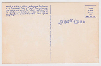 A Flock of Fine Turkeys In Rockingham County Virginia 1940's Postcard - TulipStuff