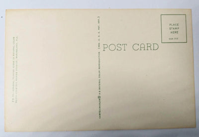 Florida Sea Horse History Marine Studios Marineland Postcard 1950's - TulipStuff