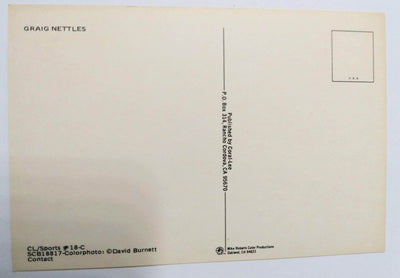 Graig Nettles New York Yankees Yankee Stadium 1981 Postcard - TulipStuff