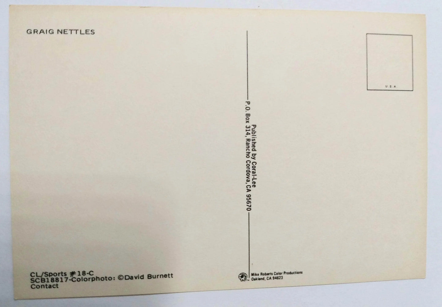 Graig Nettles New York Yankees Yankee Stadium 1981 Postcard - TulipStuff