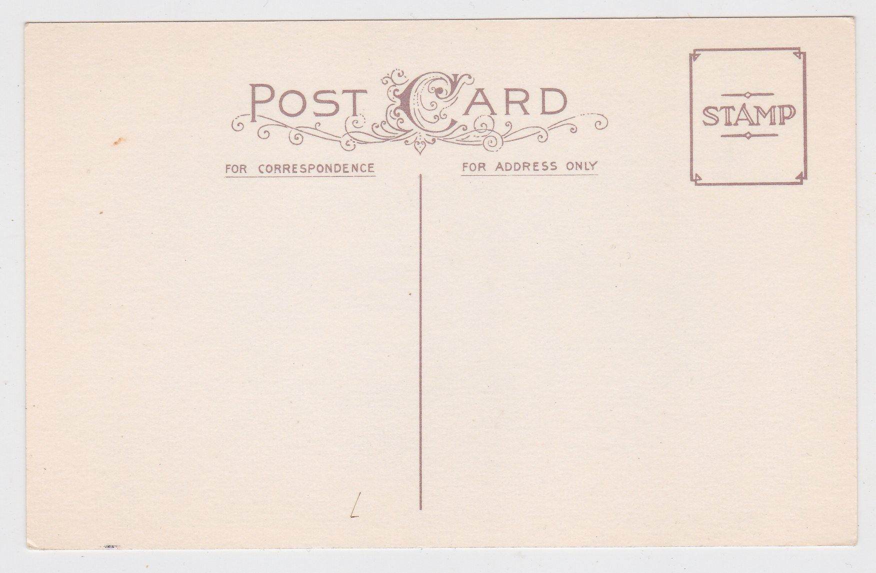 Happy Birthday Purple Flowers Vintage Postcard - TulipStuff