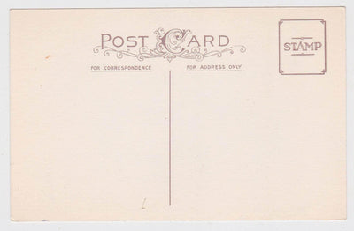 Happy Birthday Purple Flowers Vintage Postcard - TulipStuff