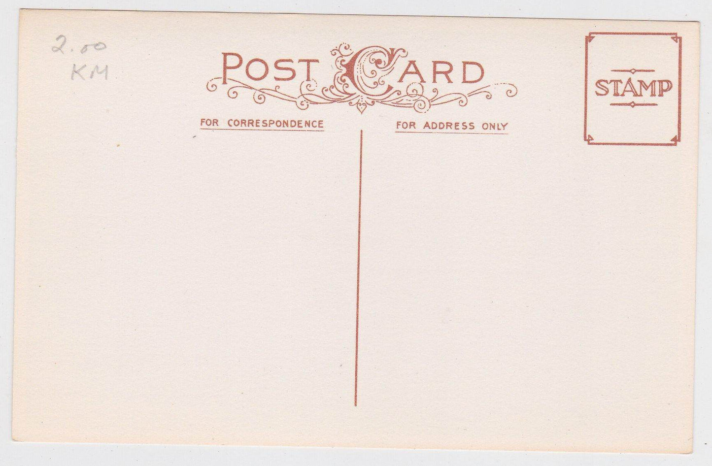 A Hearty New Year Greeting Kids Giant Mushrooms Postcard - TulipStuff