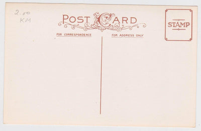 A Hearty New Year Greeting Kids Giant Mushrooms Postcard - TulipStuff