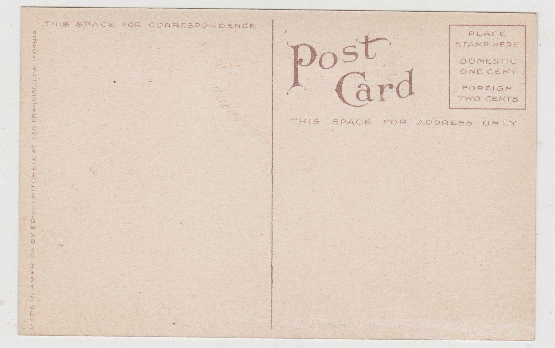 High School Santa Barbara California 1910's Postcard - TulipStuff