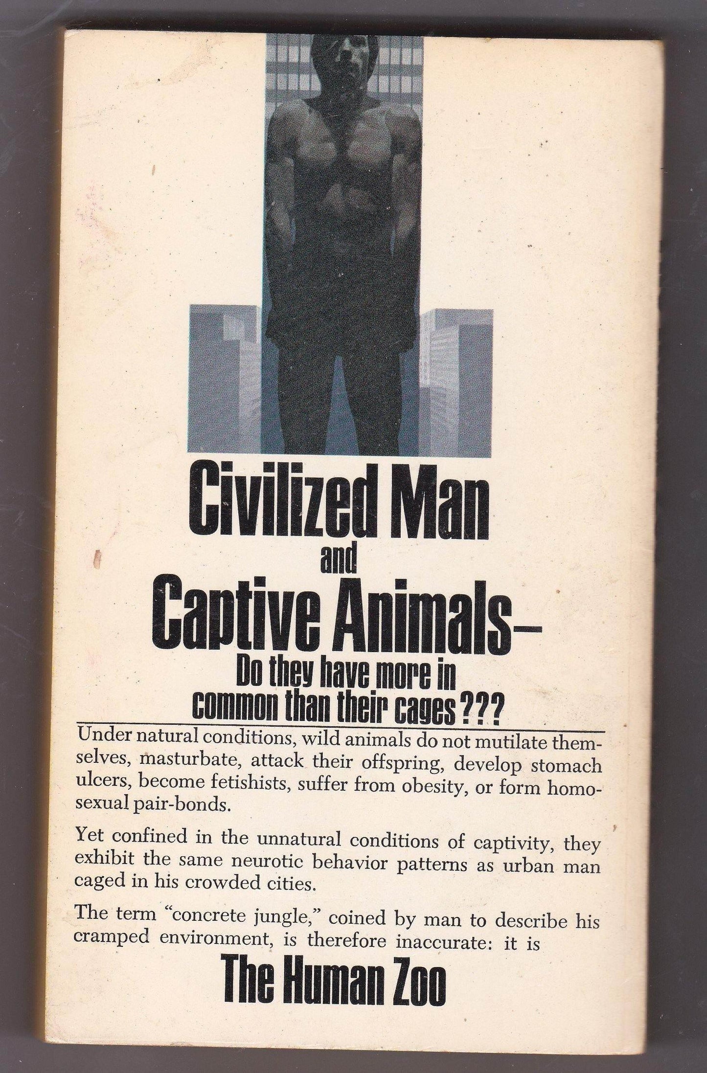 The Human Zoo by Desmond Morris Paperback Bantam Books 1969 - TulipStuff