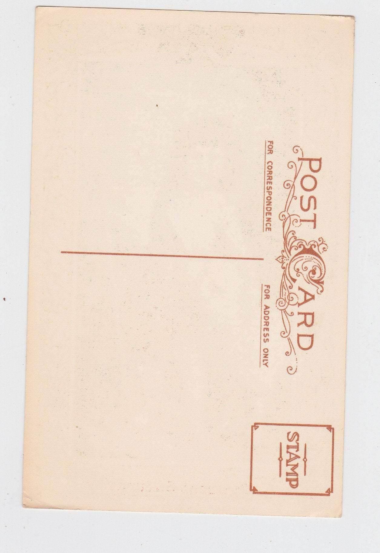 Christmas Greetings Shepherd Boy and Lamb Postcard Vintage - TulipStuff