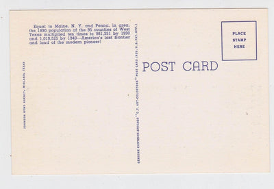 Greetings from La Mesa Texas Large Letter Linen Postcard 1940's - TulipStuff