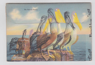 Florida Winter Vacationland 1940's Postcard Booklet 18 views - TulipStuff