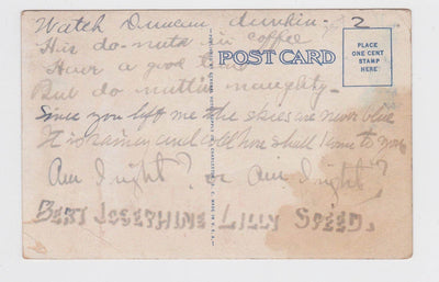 Hotel Skyland Hendersonville North Carolina Early 1930's Postcard - TulipStuff