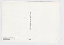 Load image into Gallery viewer, Fiat 127 Palio If It Were A Lady Billboard Postcard 1970's - TulipStuff