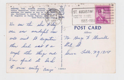 Feeding Time Marine Studios Oceanarium Marineland Florida Postcard 1960's - TulipStuff