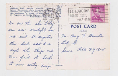 Feeding Time Marine Studios Oceanarium Marineland Florida Postcard 1960's - TulipStuff