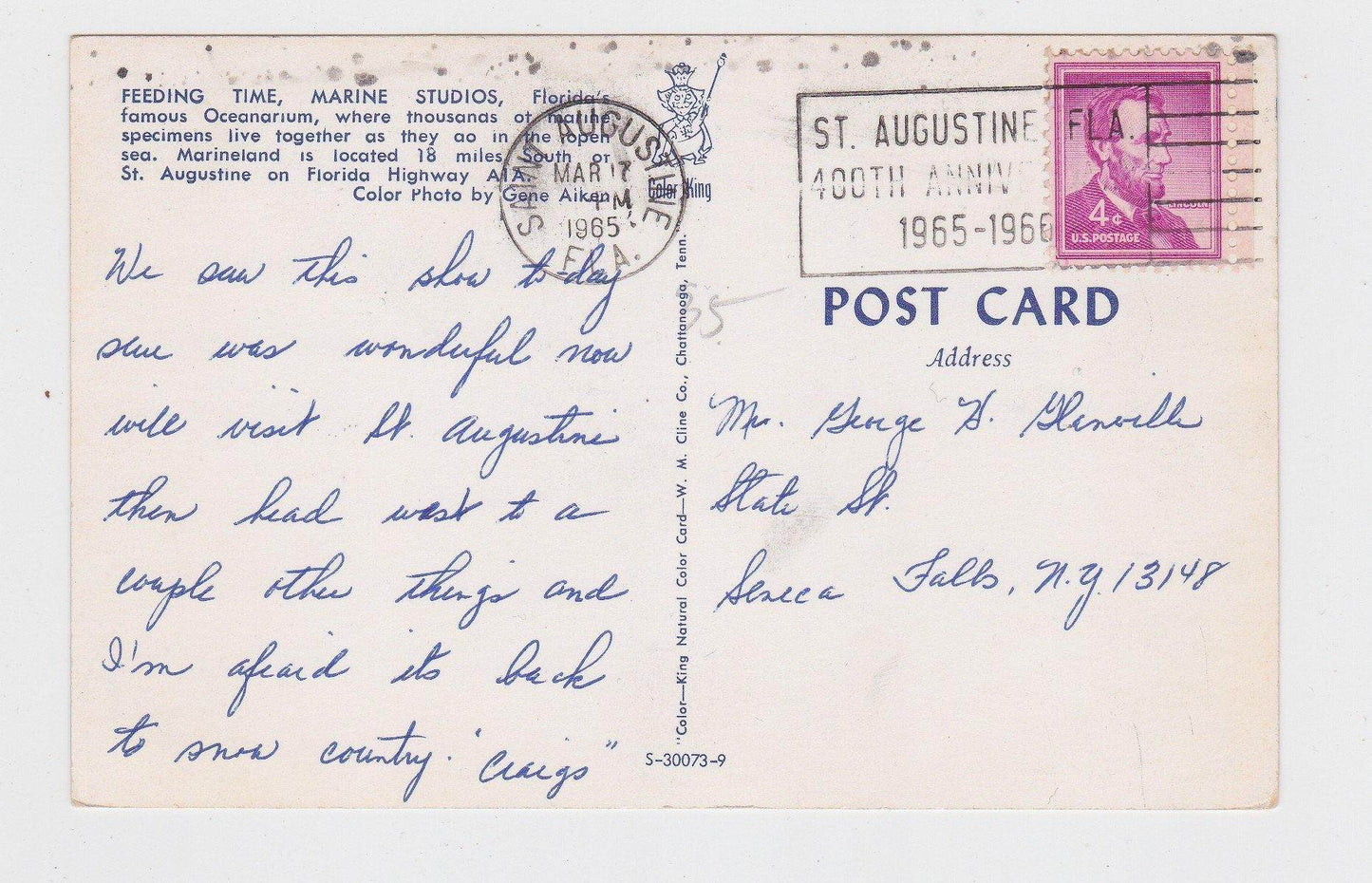 Feeding Time Marine Studios Oceanarium Marineland Florida Postcard 1960's - TulipStuff