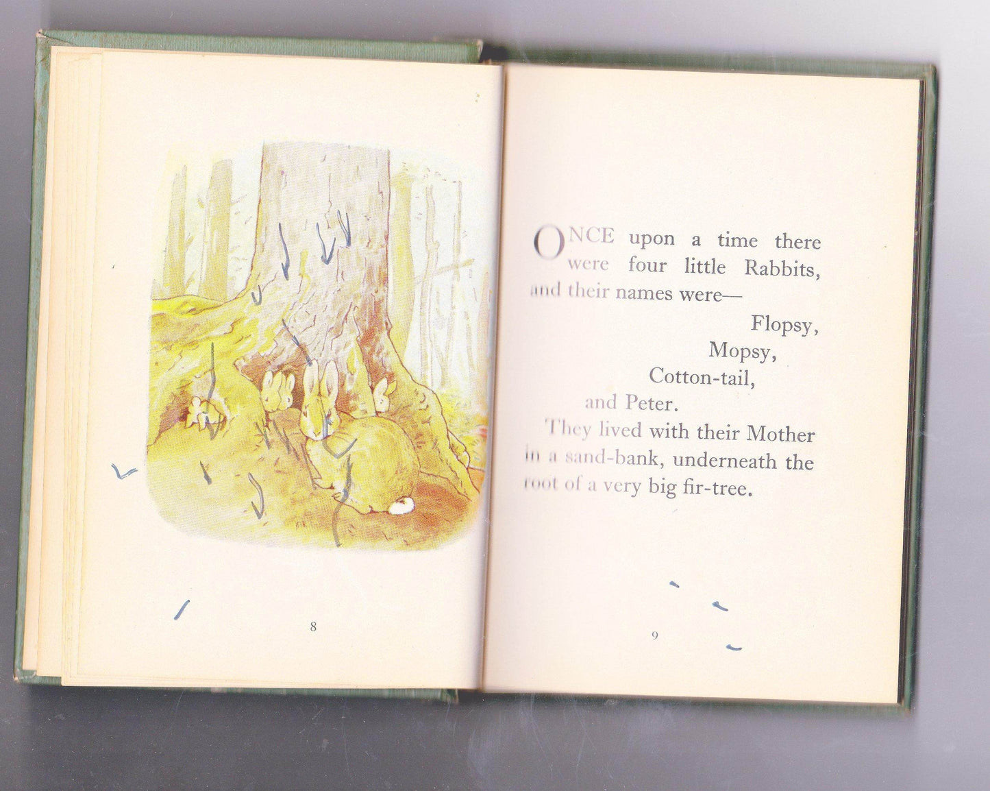 The Tale of Peter Rabbit Beatrix Potter Early US Printing Ord Edn 7232 0592 2 Lib Edn 7232 0615 5 - TulipStuff