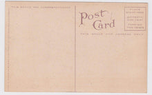 Load image into Gallery viewer, I'm Sending You A Lemon Humor 1910 Antique Postcard - TulipStuff