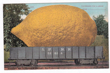 Load image into Gallery viewer, I'm Sending You A Lemon Humor 1910 Antique Postcard - TulipStuff